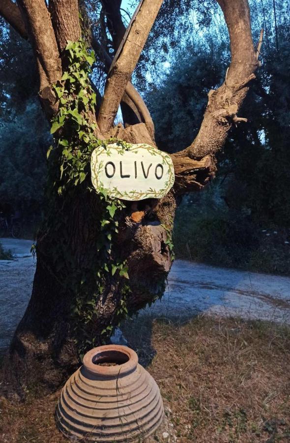 Olivo Nydri Daire Dış mekan fotoğraf