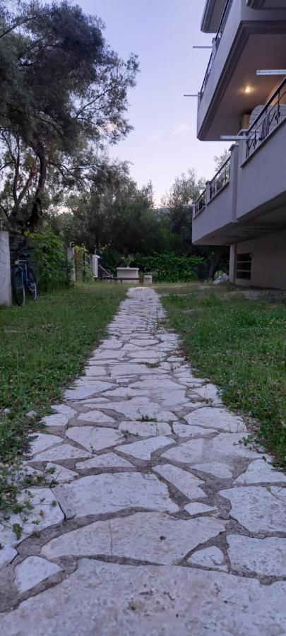 Olivo Nydri Daire Dış mekan fotoğraf